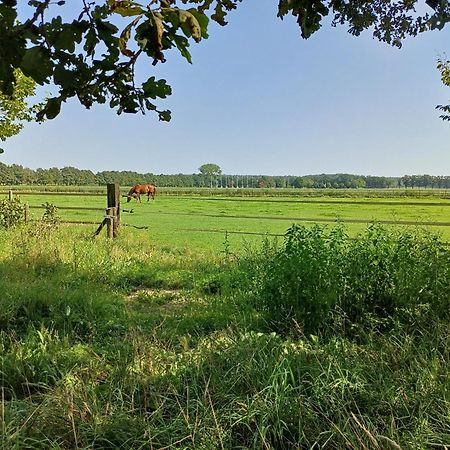 B&B Het Mooie Uitzicht Reuver Екстериор снимка