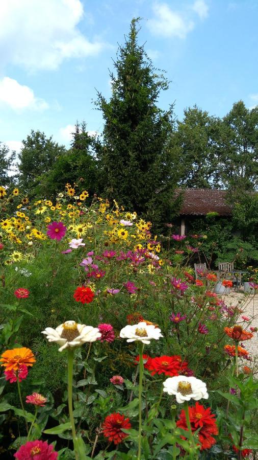 B&B Het Mooie Uitzicht Reuver Екстериор снимка