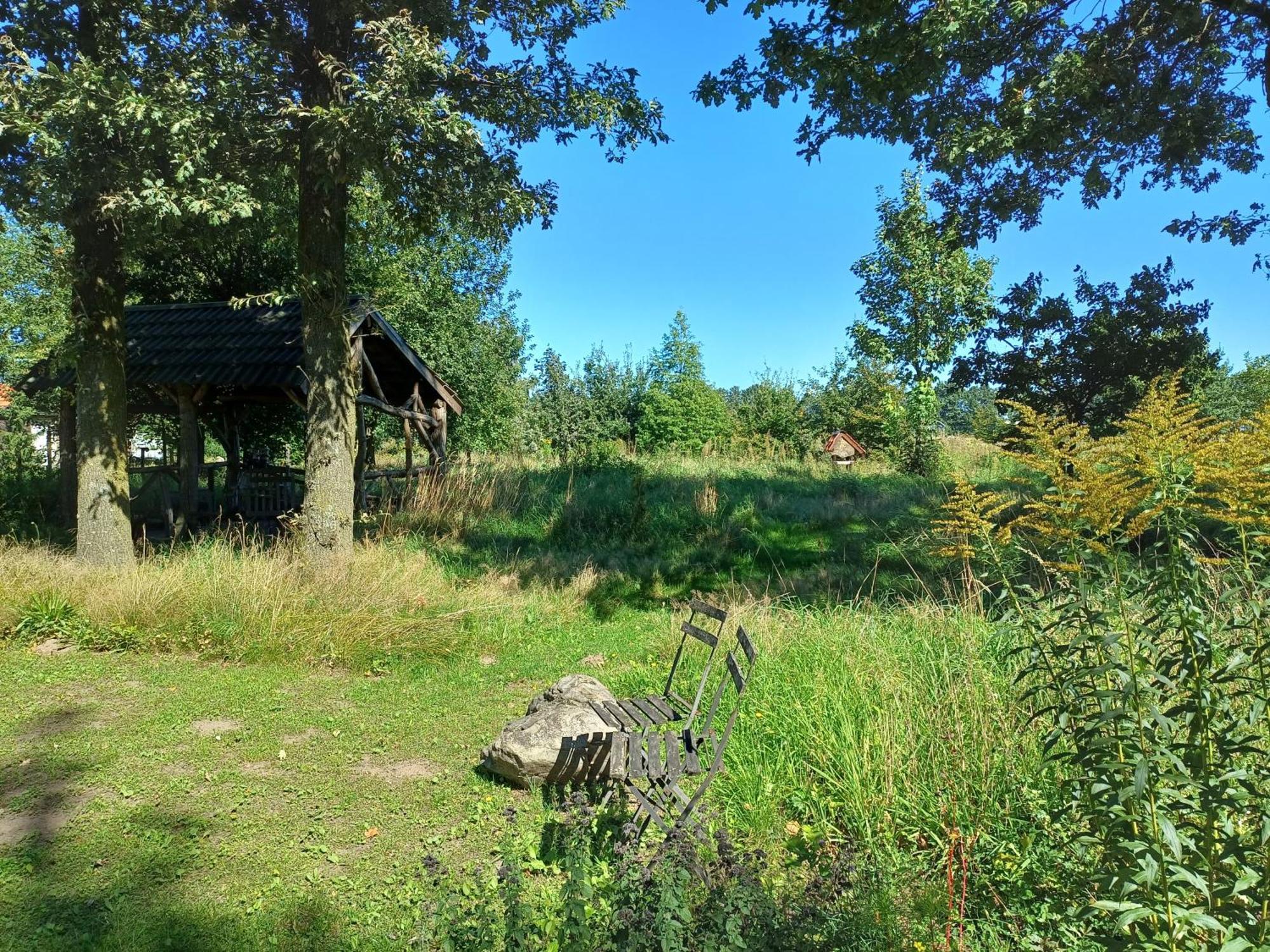B&B Het Mooie Uitzicht Reuver Екстериор снимка