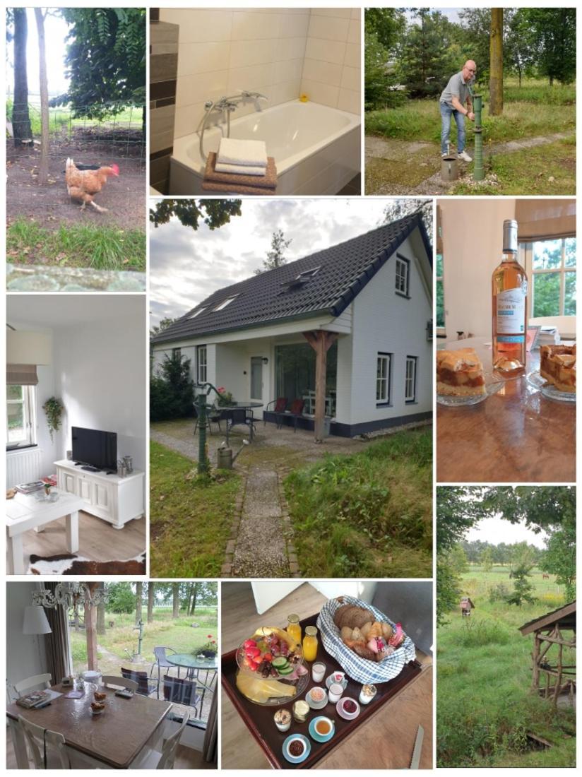 B&B Het Mooie Uitzicht Reuver Екстериор снимка